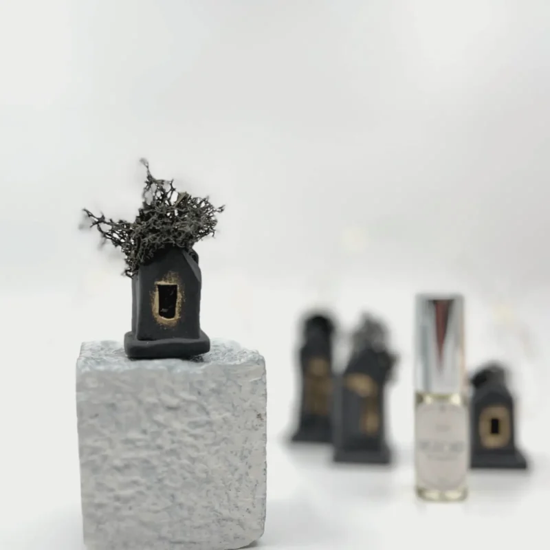 juodas-porcelianinis-namelis-sivile-rinkinys juodas-porcelianinis-namelis-sivile-rinkinys