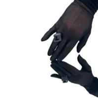 ziedas-porcelianas-sidabras