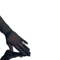 sidabrinis-ziedas-su-porcialianu