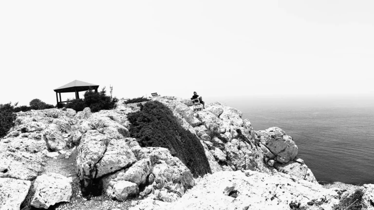 Fotografija iš gamtos – kūrybos įkvėpimo šaltinis