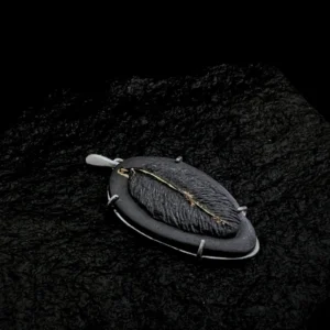 Pakabukas medalionas "lapelis" sidabro apkauste